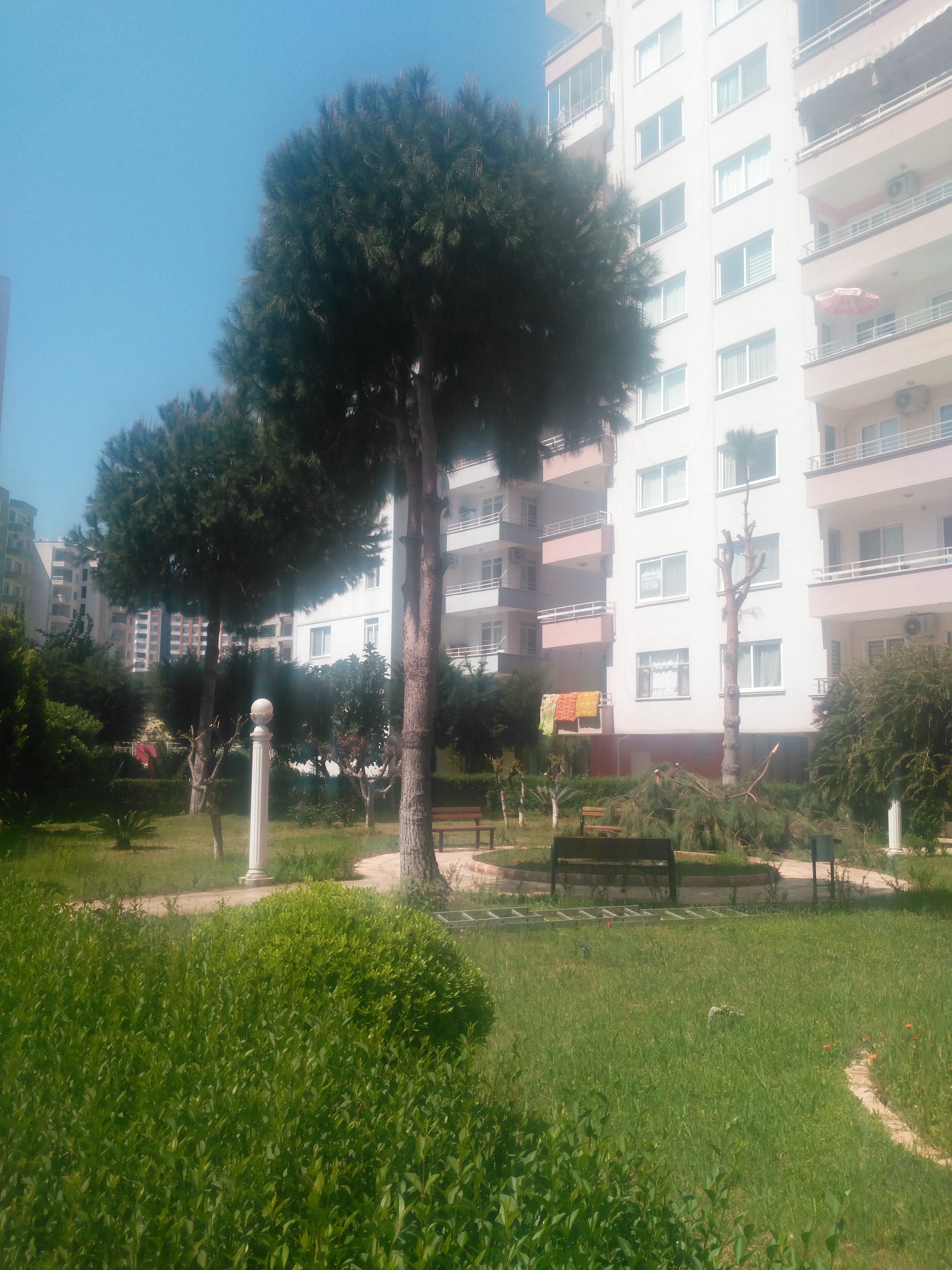 Budama ve peyzaj çalışmaları başlatılmıştır
